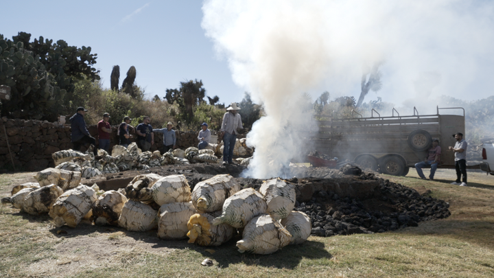 Origen Raíz Del Espíritu - Mezcal Pecho