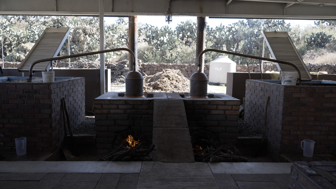 Origen Raíz Del Espíritu - Mezcal Pecho