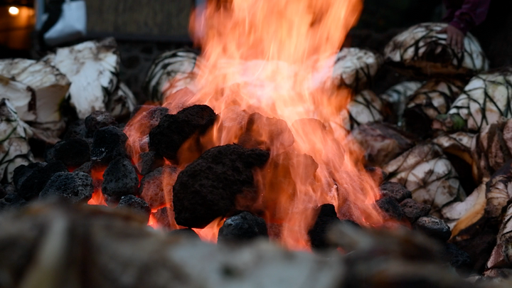 Origen Raíz Del Espíritu - Mezcal Pecho