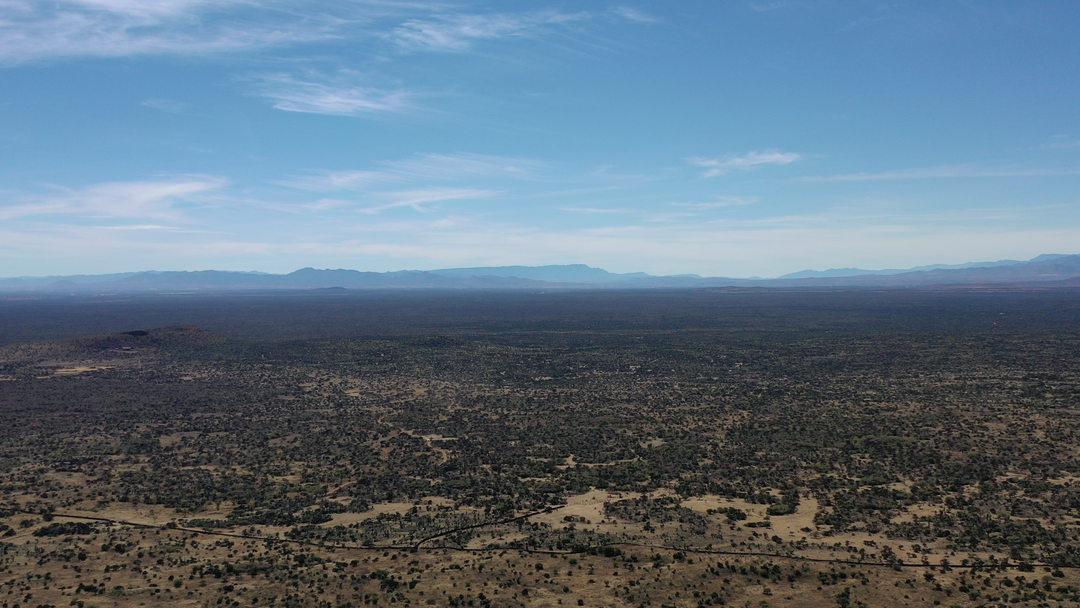 Origen Raíz Del Espíritu - Mezcal Cenizo